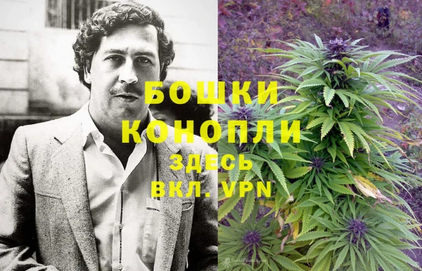 марихуана Белокуриха