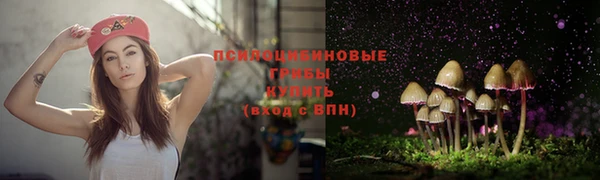 таблы Беломорск