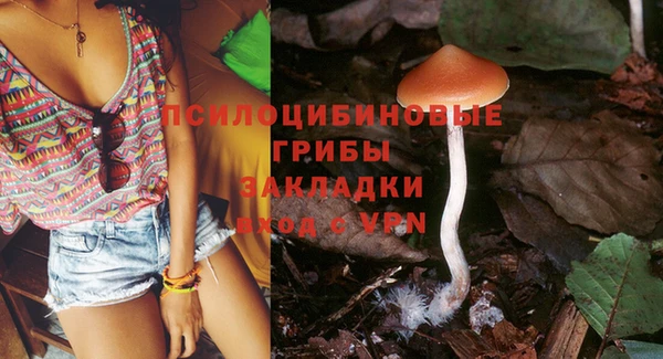 mix Богородск