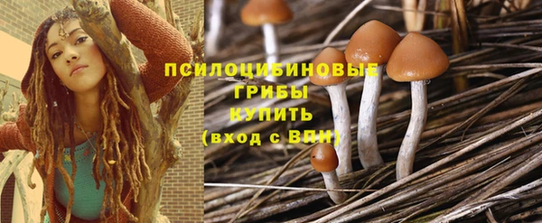 mdpv Богородицк